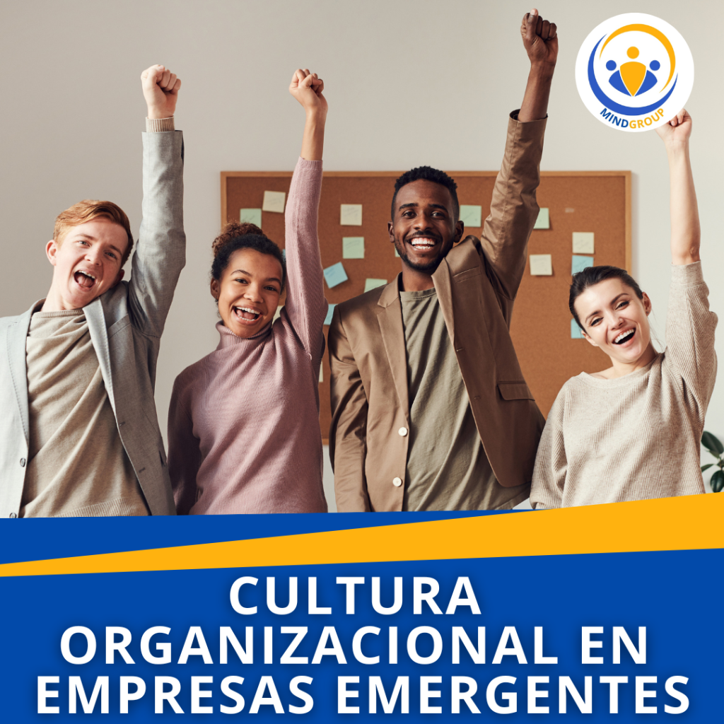 Cultura Organizacional En Empresas Emergentes 2 12 1