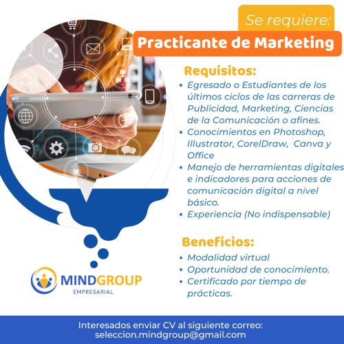 Practicante De Marketing